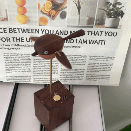 handcarved-wooden-long - Handcarved Wooden Long-Tailed Tit Automata Mechanical Sculpt