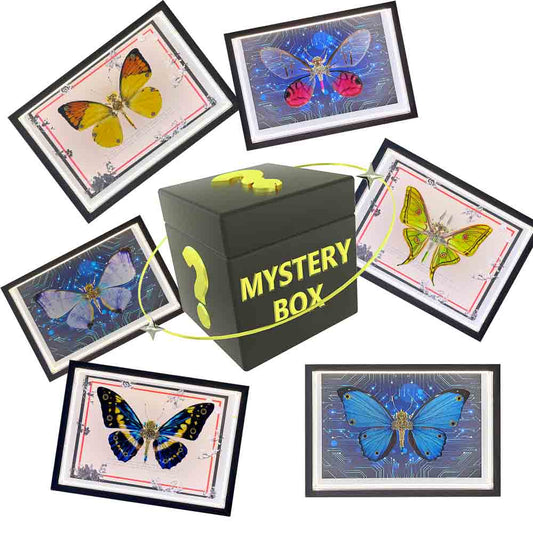 2pcs-set-random - 2pcs/set Random Mystery Box Steampunk Butterfly Kits with Ci