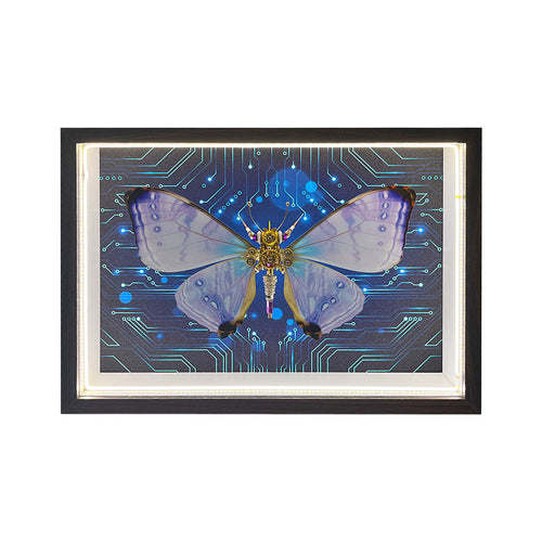 2pcs-set-random - 2pcs/set Random Mystery Box Steampunk Butterfly Kits with Ci