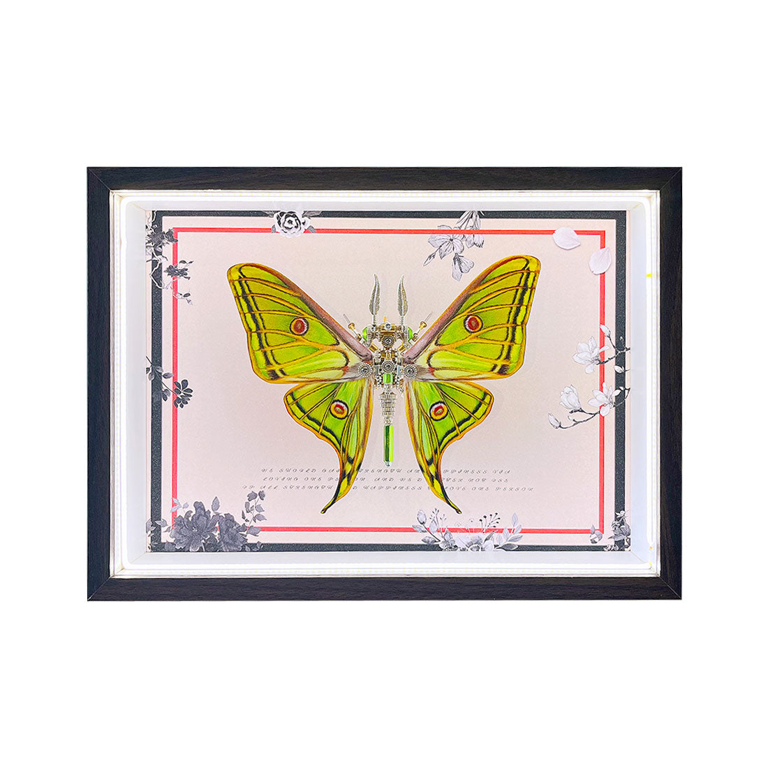 2pcs-set-random - 2pcs/set Random Mystery Box Steampunk Butterfly Kits with Ci