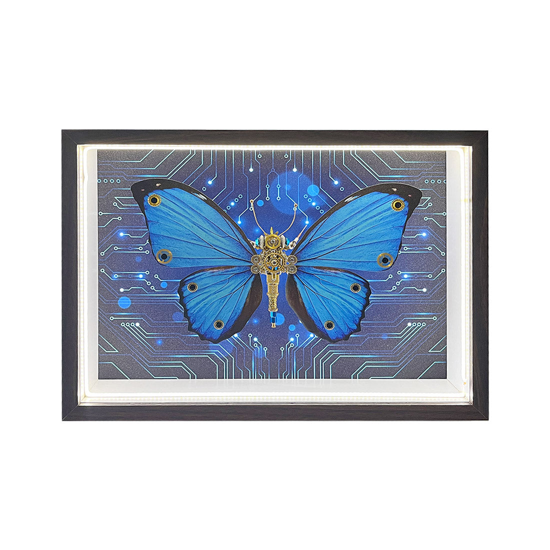 2pcs-set-random - 2pcs/set Random Mystery Box Steampunk Butterfly Kits with Ci