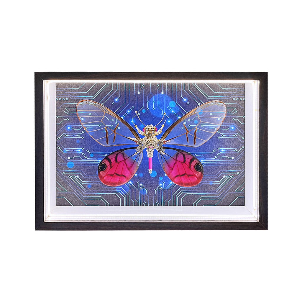 2pcs-set-random - 2pcs/set Random Mystery Box Steampunk Butterfly Kits with Ci