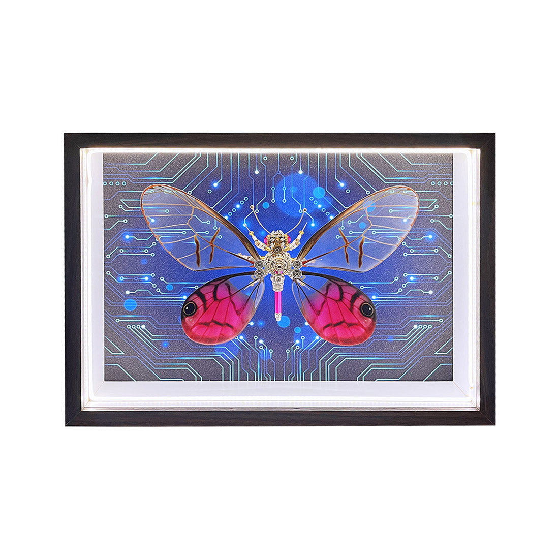 2pcs-set-random - 2pcs/set Random Mystery Box Steampunk Butterfly Kits with Ci