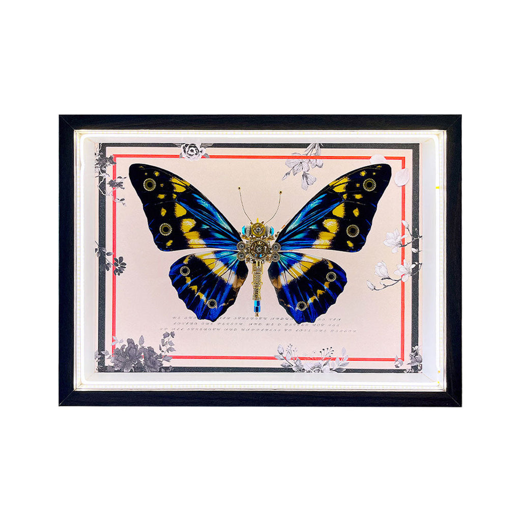 2pcs-set-random - 2pcs/set Random Mystery Box Steampunk Butterfly Kits with Ci