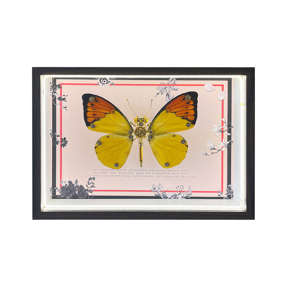 2pcs-set-random - 2pcs/set Random Mystery Box Steampunk Butterfly Kits with Ci
