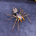 3d-metal-cyborg - 3D Metal Cyborg Human-face Spider Model Kit for Halloween 18