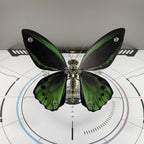 3D Metal Ornithoptera Birdwing Butterfly Steampunk Insect Model Kit