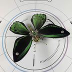 3D Metal Ornithoptera Birdwing Butterfly Steampunk Insect Model Kit