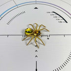 5pcs/Set Multi-functional Cat-eye Spider Brooch Fridge Magnet Model Kits