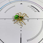 5pcs/Set Multi-functional Cat-eye Spider Brooch Fridge Magnet Model Kits