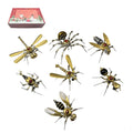 7-days-advent - 7 Days Advent Calendar 3D Metal Steampunk Insect Christmas G
