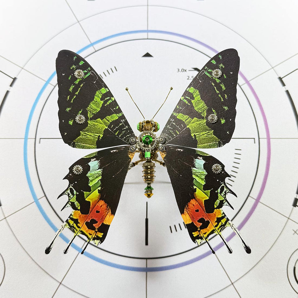 Build Your Own Steampunk Papilio phorcas Butterfly 3D Metal Model Kit for Beginner