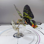 build-your-own - Build Your Own Steampunk Papilio phorcas Butterfly 3D Metal 