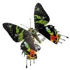 Build Your Own Steampunk Papilio phorcas Butterfly 3D Metal Model Kit for Beginner