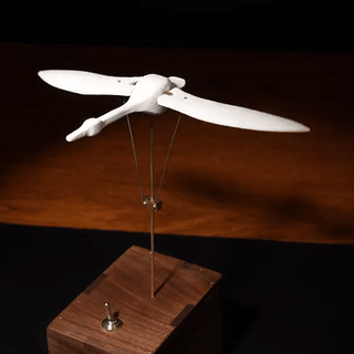 kinetic-flying-swan - Kinetic Flying Swan Wooden Music Box Automata Sculpture