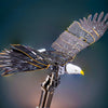 Gralios Elite AeroGlide Kinetic Eagle™ - Motorized Flight Decor