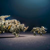 Gralios Elite MechRhinoForge™ - Precision Steampunk Sculpture Kit